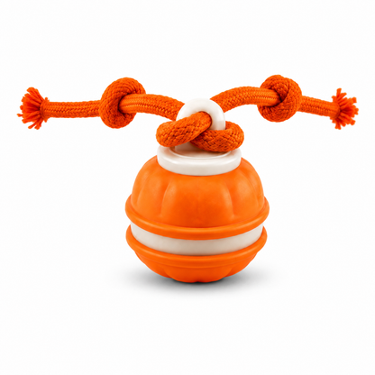 Tug Toy