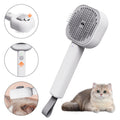 Steam Spray Pet Brush